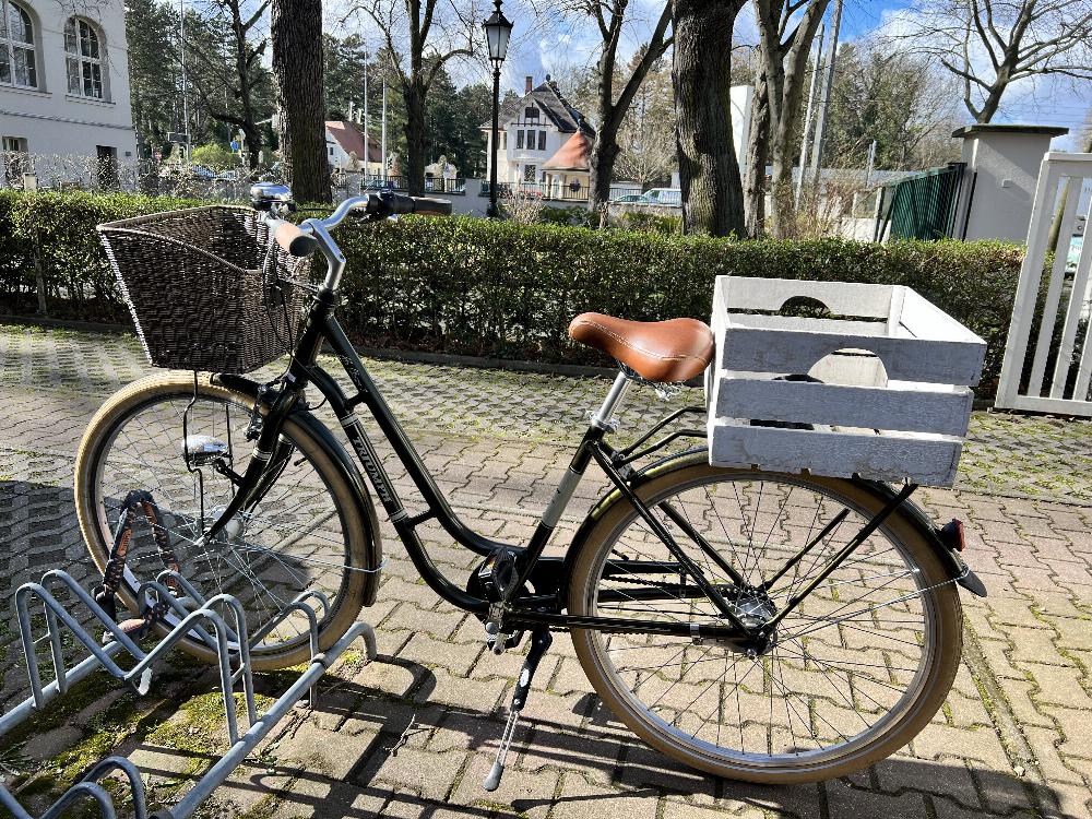 Fahrrad verkaufen Andere Triumph Alu Classic 7 cityrad 28“ 45cm Ankauf